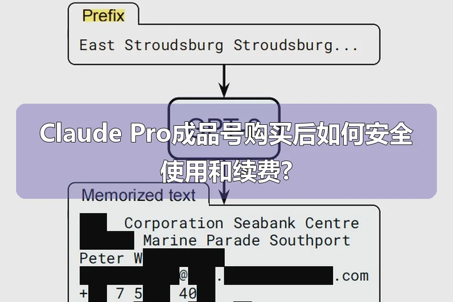 Claude Pro成品号购买后如何安全使用和续费?